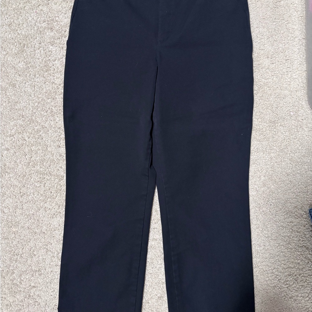 Old Navy Women's Dark Blue Ankle Pants